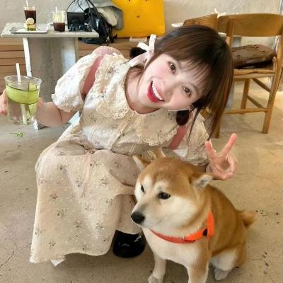 希莉丝在纽约